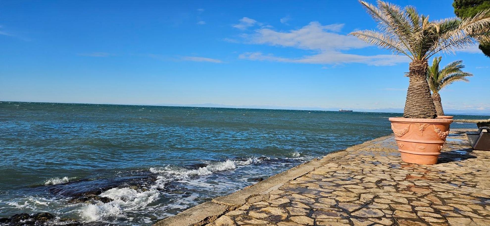 Sea View Apartment Renzzo Strunjan Buitenkant foto