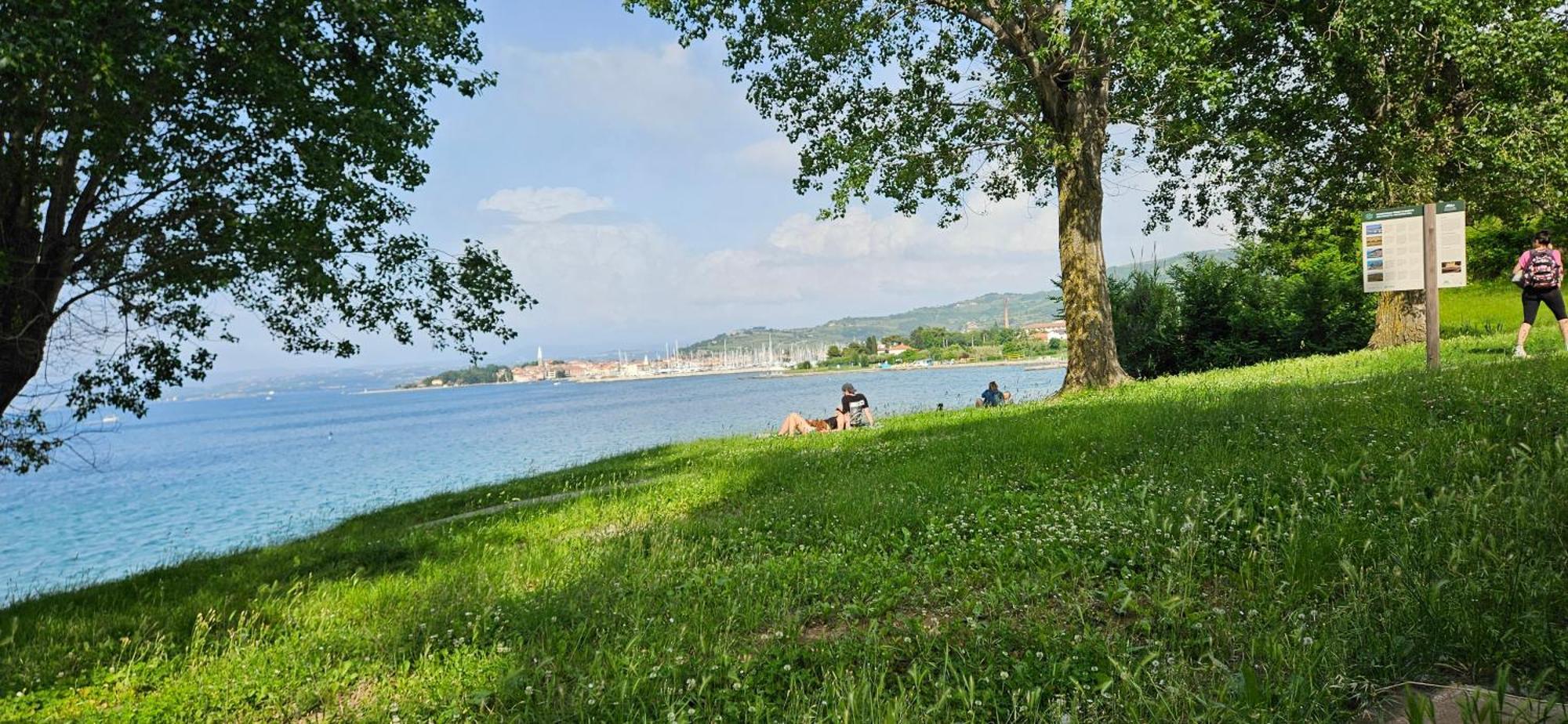 Sea View Apartment Renzzo Strunjan Buitenkant foto